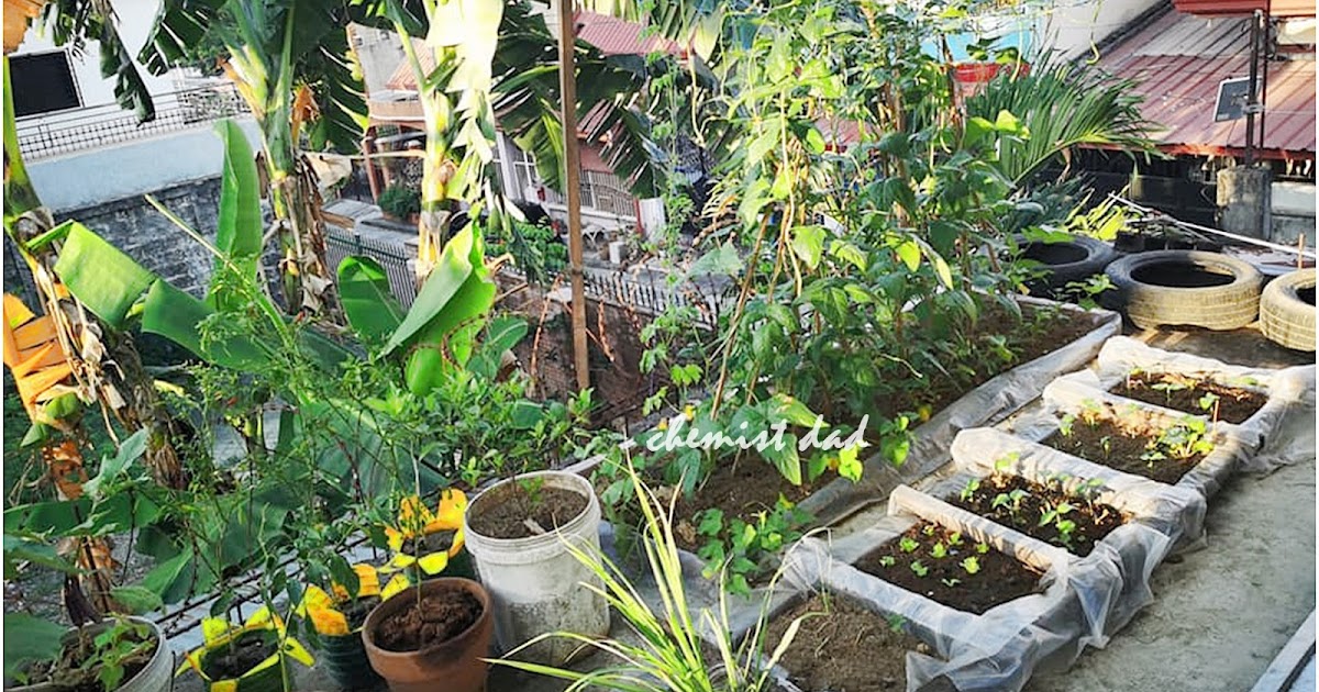 Urban Gardening Direct and Indirect Seeding