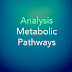 Analysing Metabolic Pathways