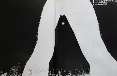 A Japanese Book: Sashin Eizo / Photo Image 9 (1971)