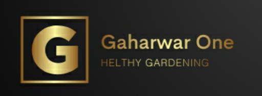 Gaharwar One