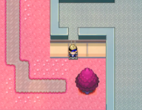 Pokemon Pétalo Screenshot 03