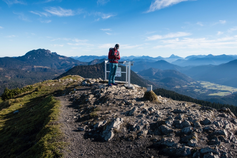 Kessy S Pink Sugar Pina Colada Macarons Exotisches Curd
