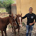 Policiais do GTE de Cajazeiras recuperam três Cavalos que foram furtados no estado do Pernambuco