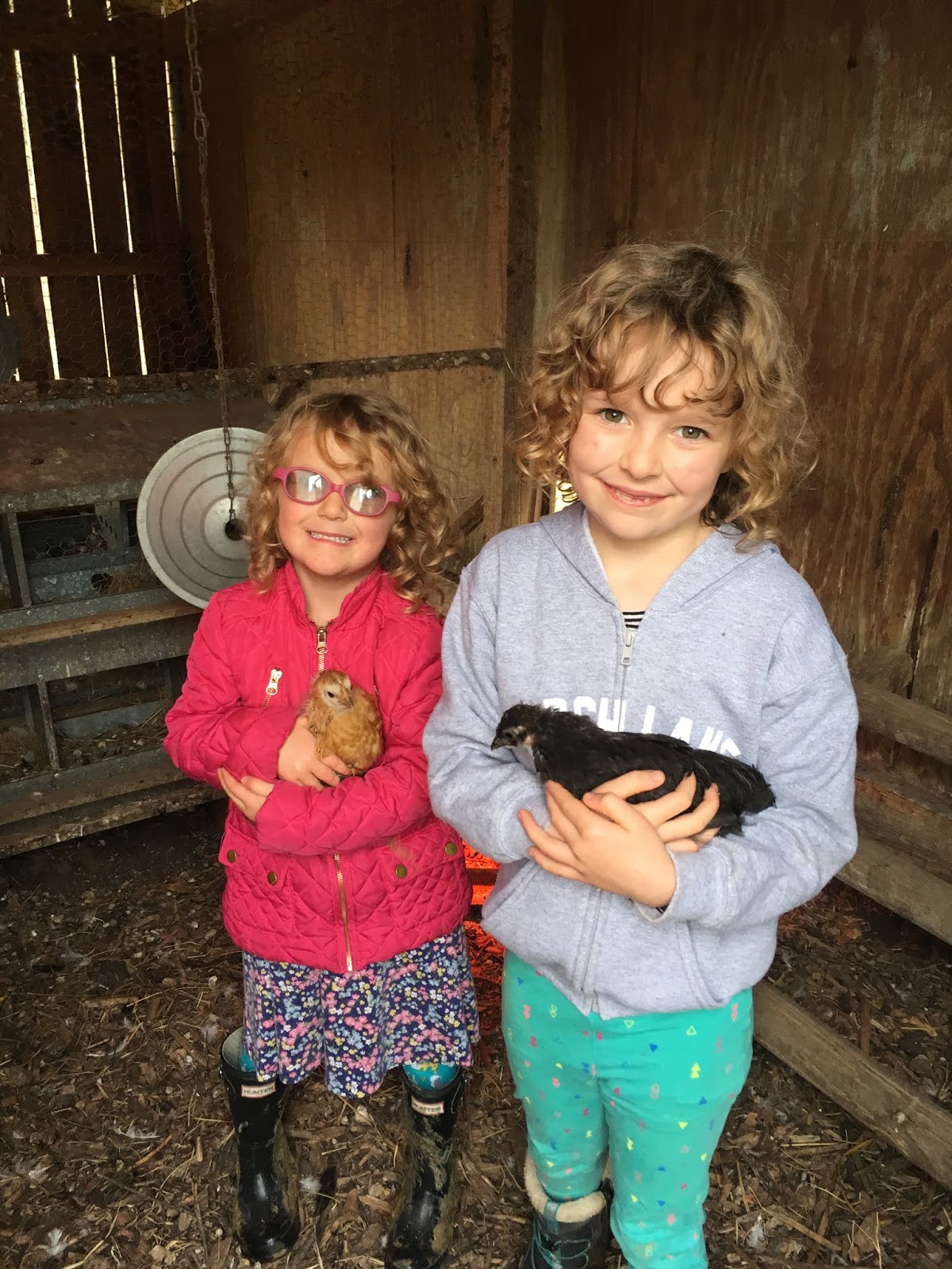Spencer Family Farm, Marion Junction, Alabama