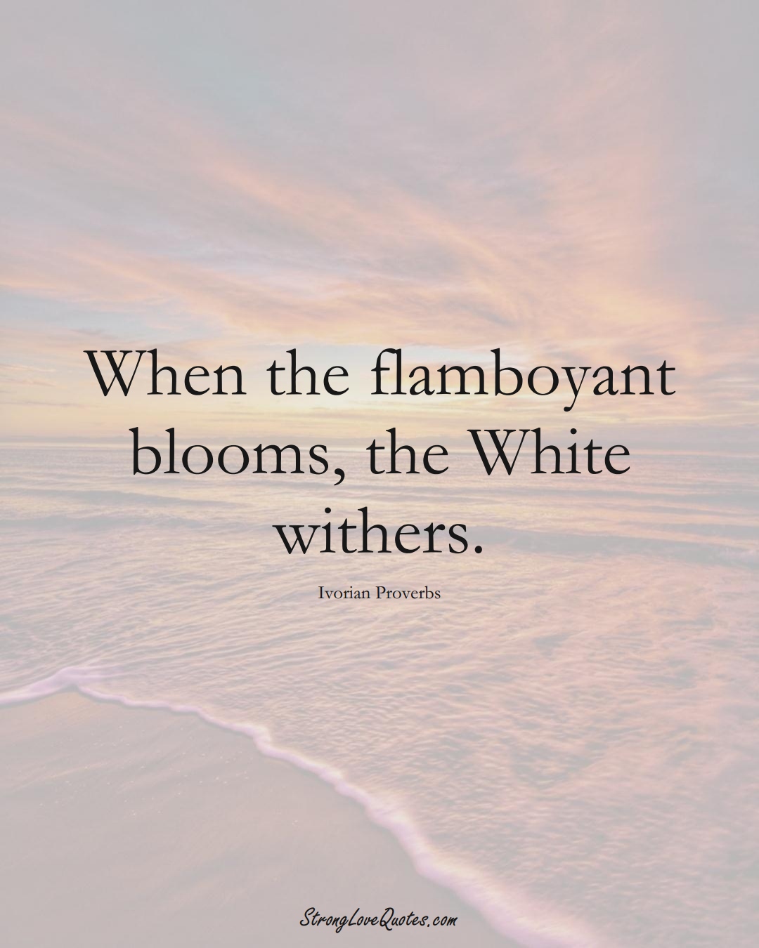 When the flamboyant blooms, the White withers. (Ivorian Sayings);  #AfricanSayings