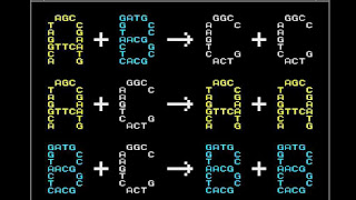 B (programming language)