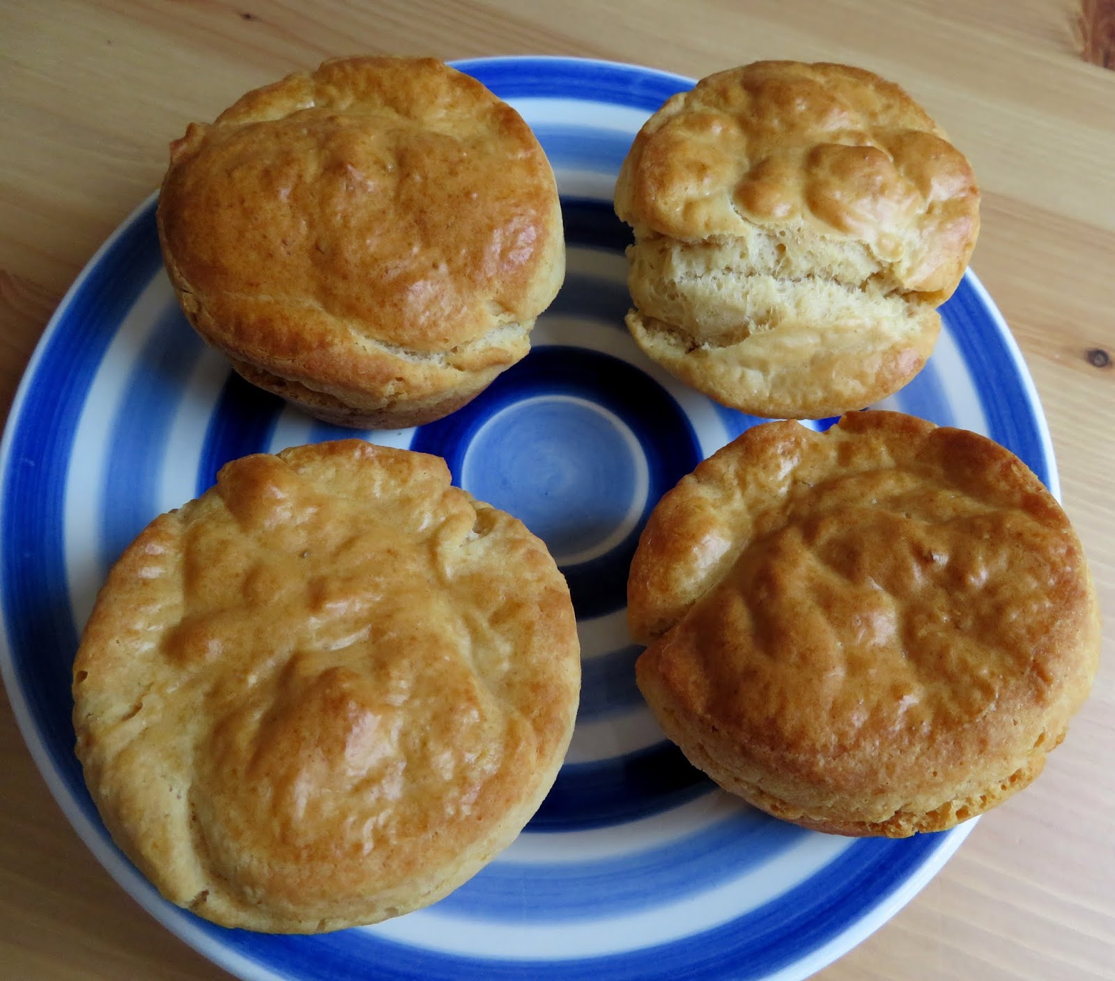 Quick and Easy No Yeast Dinner Rolls