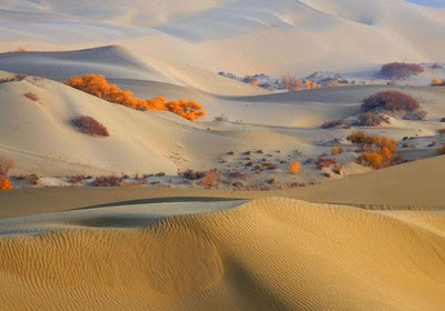 10 Most Amazing Desert In The World 10 Most Amazing Desert In The World