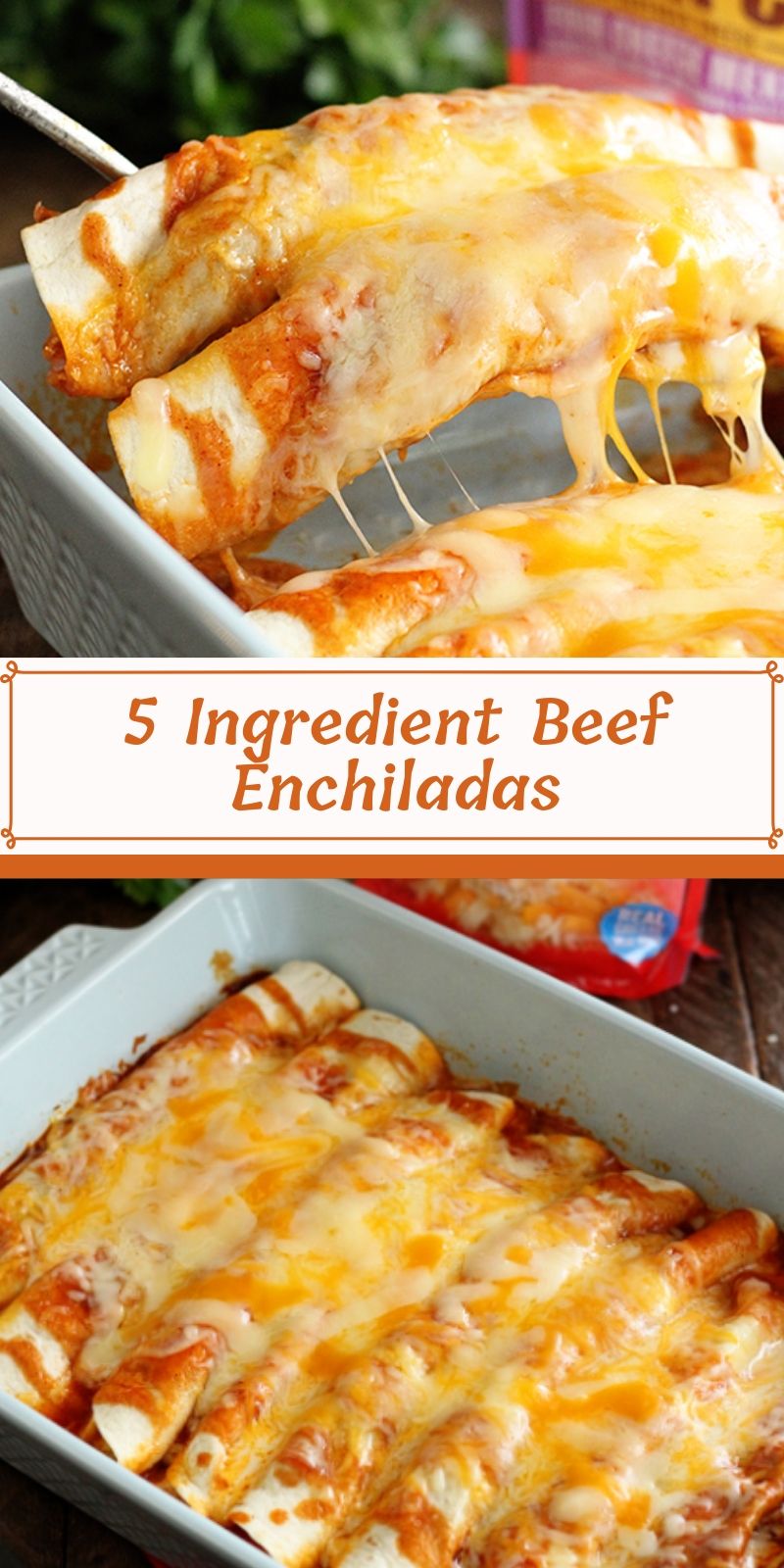 5 Ingredient Beef Enchiladas