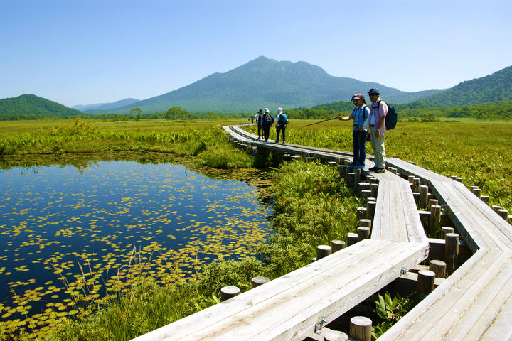 Japan - It's A Wonderful Rife: Japan’s National Parks: Oze National Park