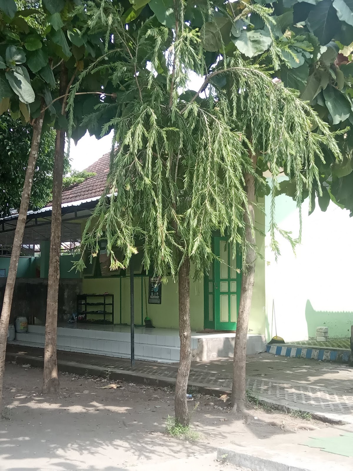 SEKOLAH INSPIRATIF JOMBANG: KAYU PUTIH