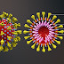 क्या गर्मी में कम हो जाएगा Coronavirus का खतरा, WHO ने कही ऐसी बात