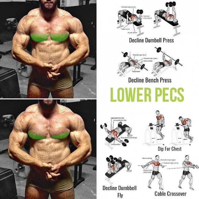 lower chest workout