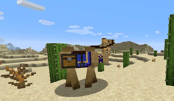 Camels Mod para Minecraft 1.15.2 - Nevi Games
