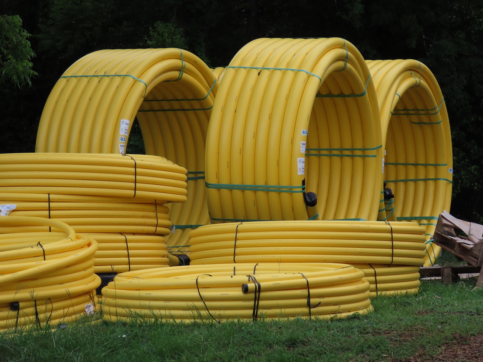 UPDATED Why is Troy Cable in Montgomery?