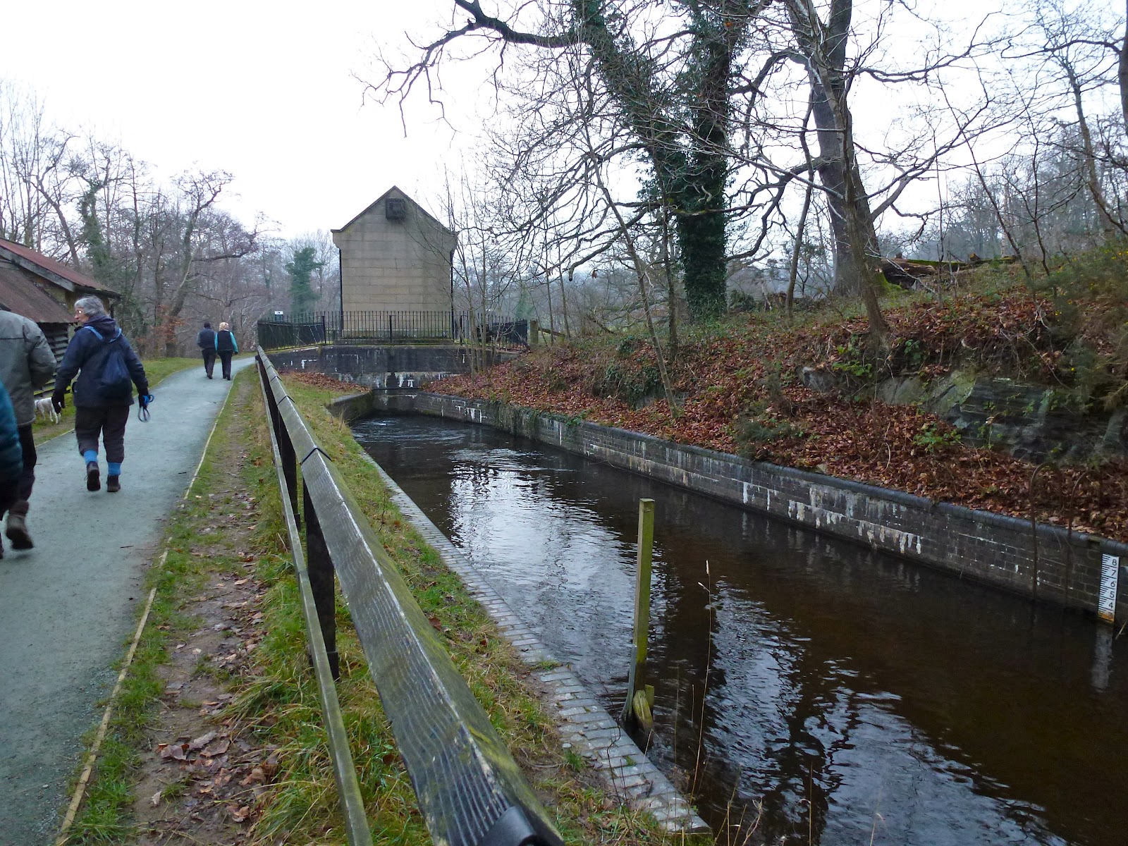 NB Rock 'n' Roll A walk to Horseshoe Falls