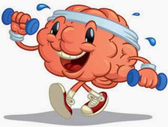 9 حقائق مذهلة عن الدماغ البشري