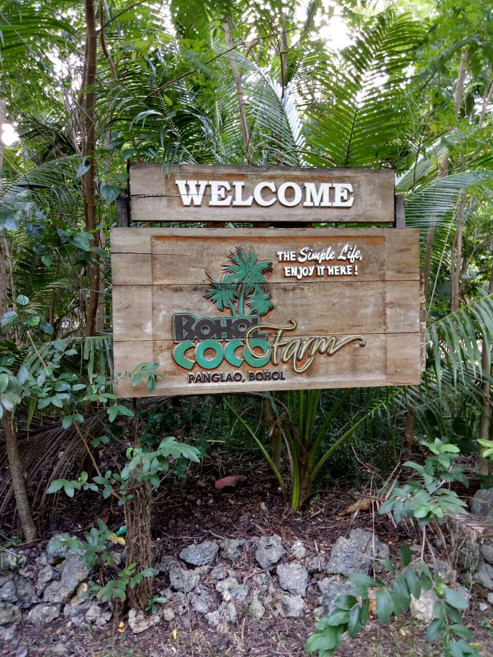 Wandering Ron Bohol CoCo Farm