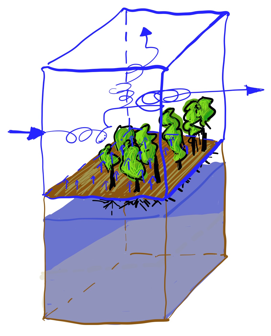 AboutHydrology Monday's discussion on evapotranspiration Part II
