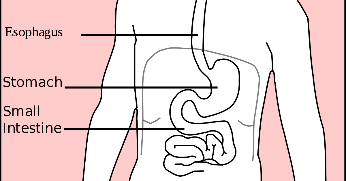 Gastric wall thickness အစာအိမ်နံရံထူခြင်း