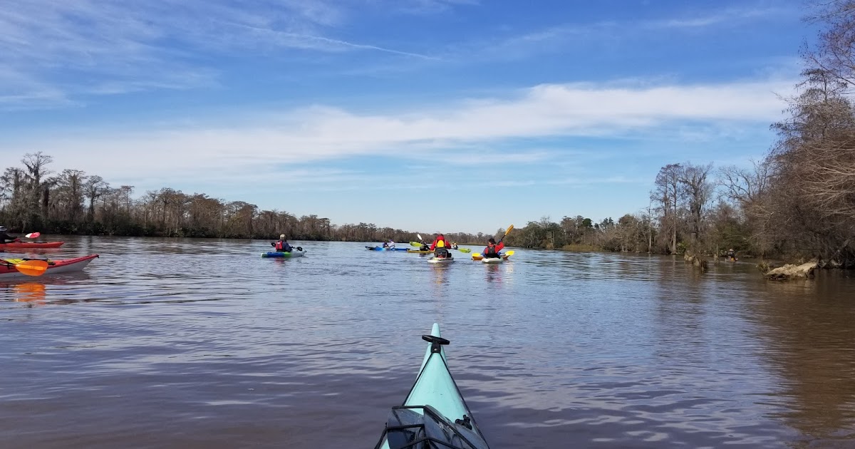 Southeastern Louisiana Paddling Paddling Bogue Homa Logtown