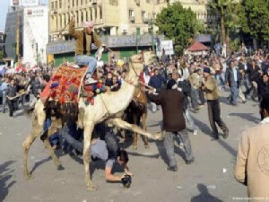 جزء من دور الاخوان في ثورة 25 يناير