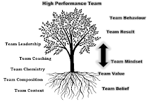 Parts of High Performance Team Coaching Book?