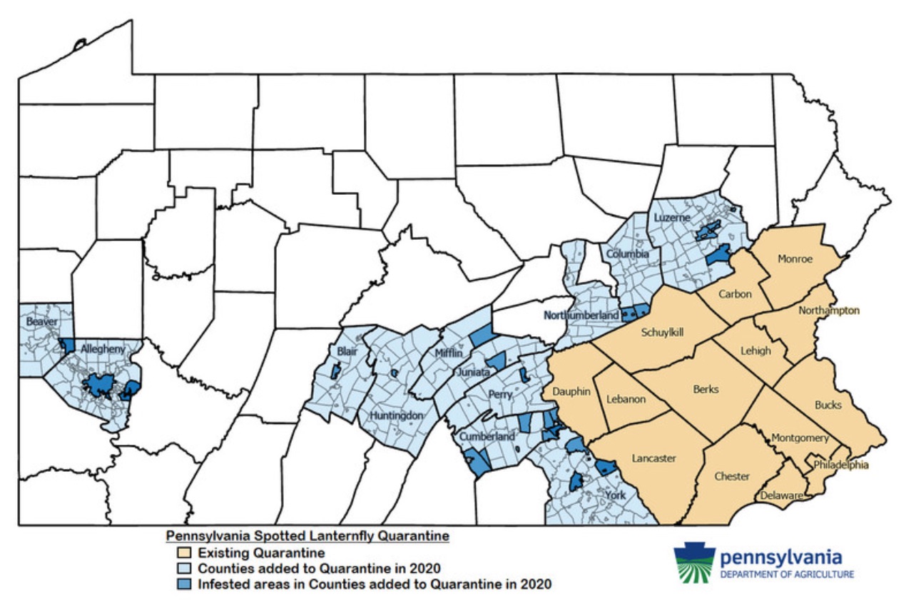 Pa Environment Digest Blog Spotted Lanternfly Task Force Brings Together Expertise Of Scientists Agencies Public Can Help