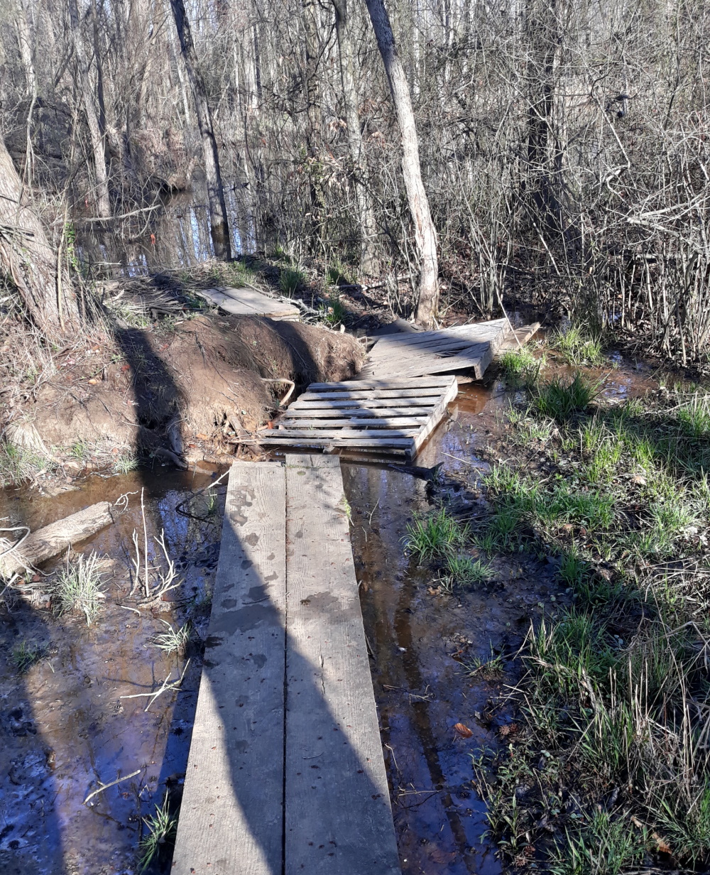 julie metz neabsco creek wetlands preserve & neabsco boardwalk