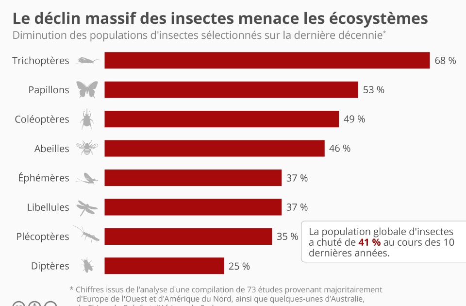 Nature Alerte 30 04 2021 Monde D clin Des Insectes 40 Des Esp ces nature-alerte-30-04-2021-monde-d-clin-des-insectes-40-des-esp-ces