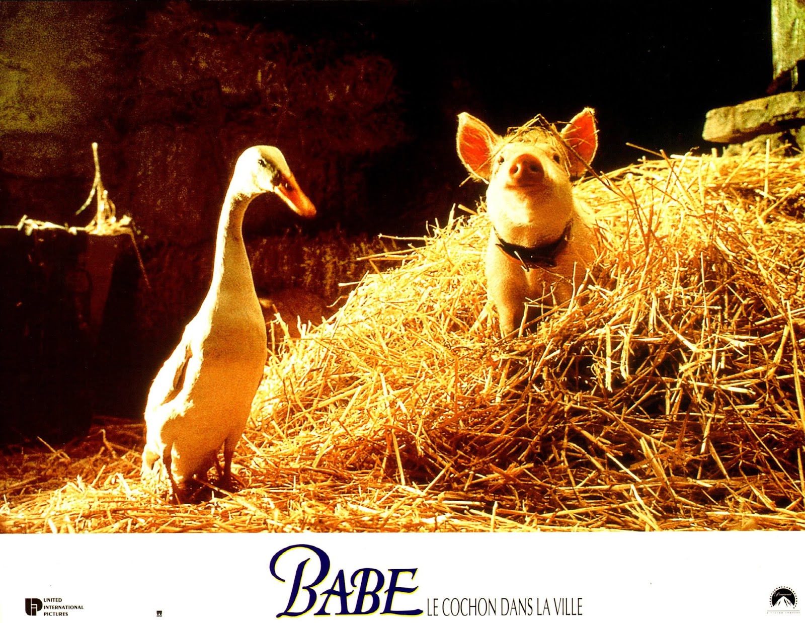 Babe Le Cochon Dans La Ville Bande Annonce Affiches - Photos d'exploitation - Bandes annonces: Babe : Le cochon