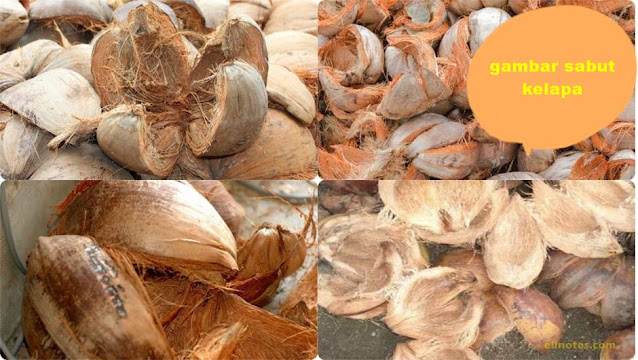 gambar sabut kelapa untuk kerajinan