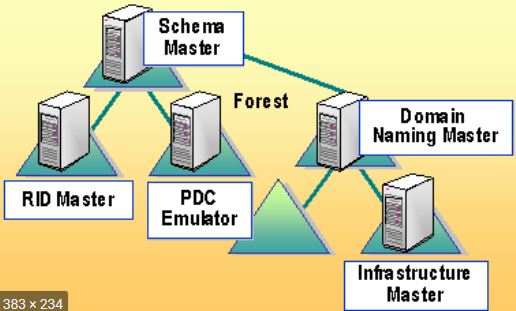 Домен мастер. Роли FSMO Active Directory. Контроллер домена. Контроллер домена Active Directory. Схема Active Directory.