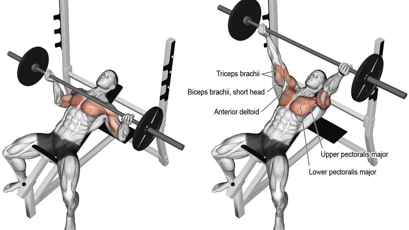 How To Do Proper Upper Chest Workout 7 Best Upper Chest Exercises
