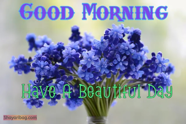 Good Morning with Flowers Good Morning with Flowers