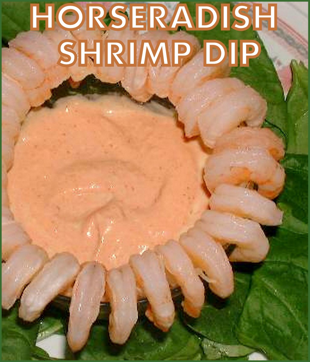 SPLENDID LOWCARBING BY JENNIFER ELOFF HORSERADISH SHRIMP DIP