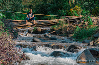 Wisata Akar Seribu Mojokerto