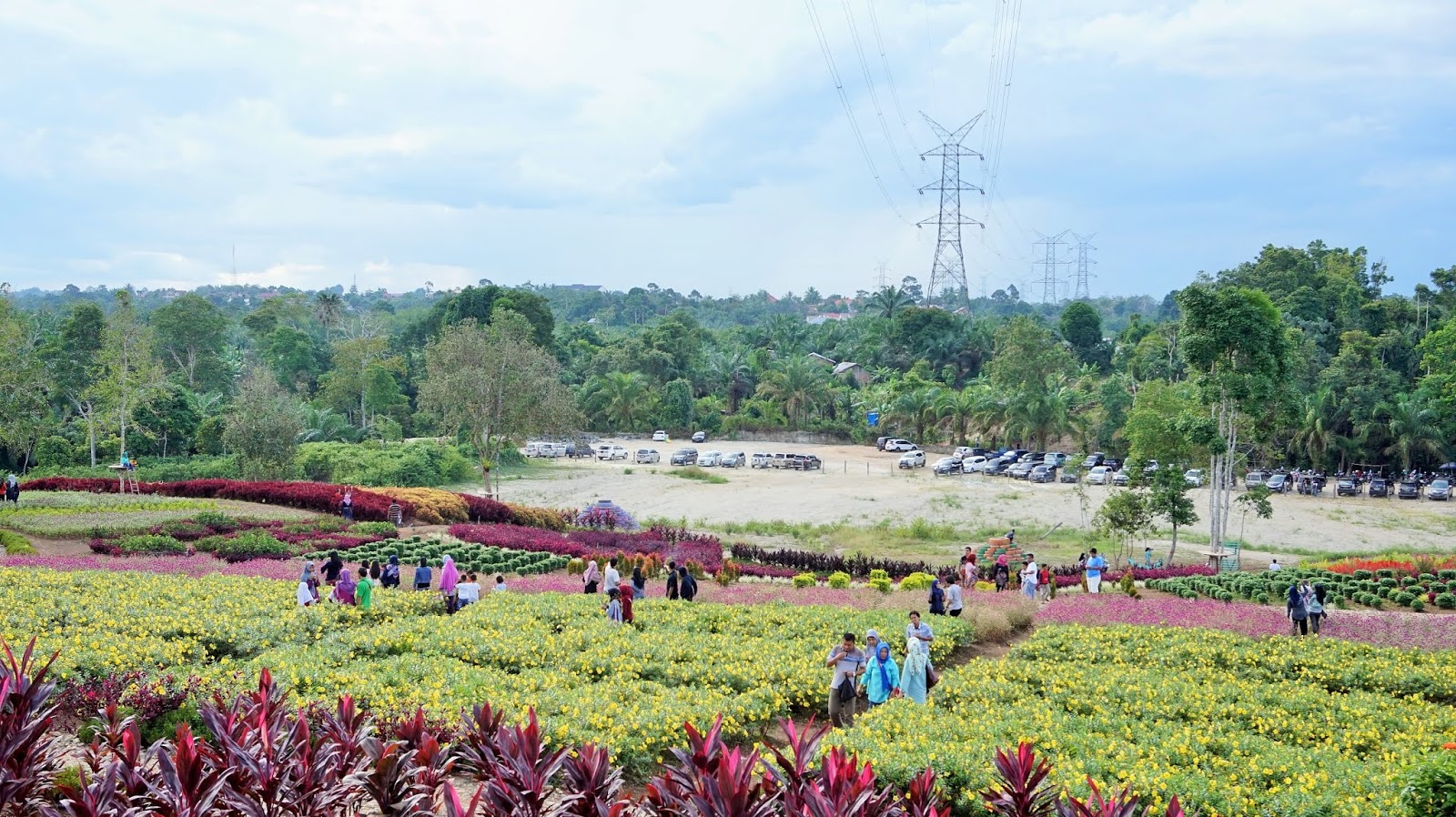 Merangin Garden, Wisata Taman Bunga Instagramable Di Bangko - Galeri Jambi