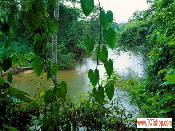 Gợi ý 10 điểm đến dành cho những ai muốn ở ẩn Gợi ý 10 điểm đến dành cho những ai muốn ở ẩn