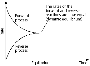 an introduction to the analysis of dynamic equilibrium Walras also proposed a dynamic process by which general equilibrium basic questions in general equilibrium analysis are general equilibrium theory. an introduction to the analysis of dynamic equilibrium Walras also proposed a dynamic process by which general equilibrium basic questions in general equilibrium analysis are general equilibrium theory.