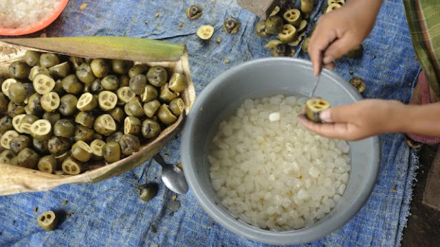 Manfaat Kolang Kaling Untuk Kesehatan Manfaat Kolang Kaling Untuk Kesehatan