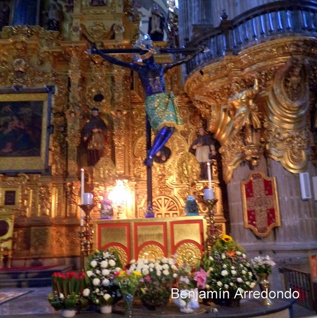 El Señor del Hospital: El Señor del Veneno, el Cristo Negro de la ...