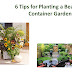 Container Garden success Tips