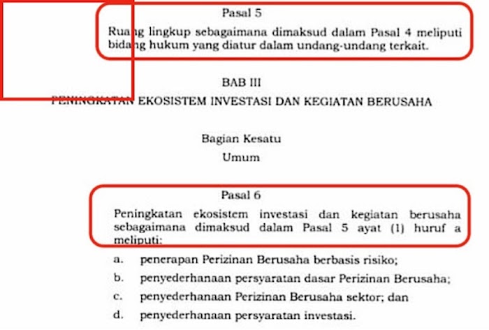 UU Cipta Kerja Sudah Diteken Jokowi dan Dinomori, tetapi Masih Ada Typo Kek Gini
