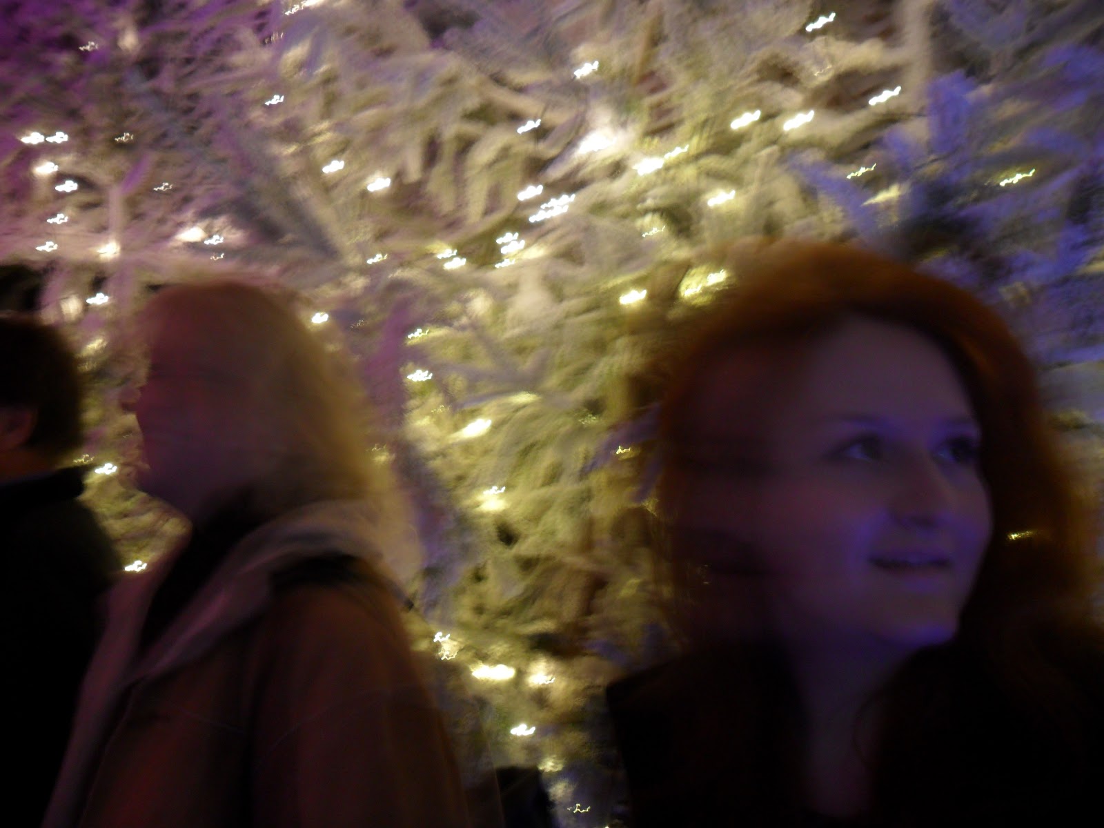 The Woollen Mitten: December 2011