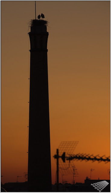 Mis rutas en imágeneS: Chimeneas y gente