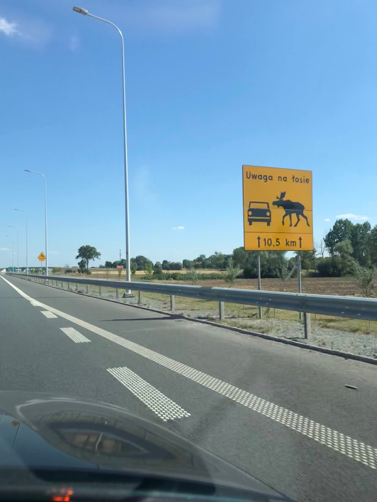 Kahve Bahane Tatilin Daniskası Bir Tutam Karınca