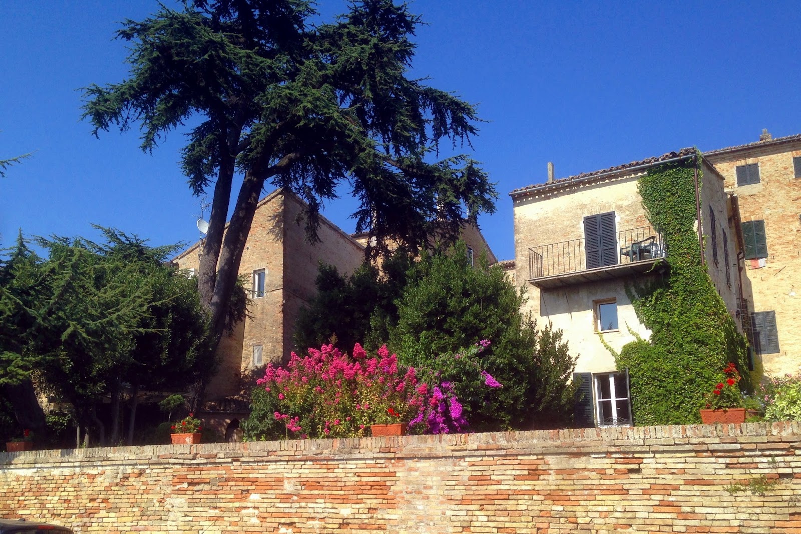 Laboratorio oltremare : il mio viaggio nelle marche, tra natura ...
