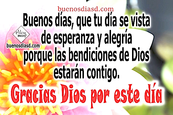 Lindas Frases de Buenos Días con Bendiciones de Dios | Imágenes y Frases de Buenos  Días