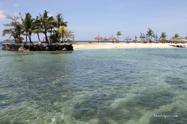 Maribago Bluewater Beach Resort Cebu Blog